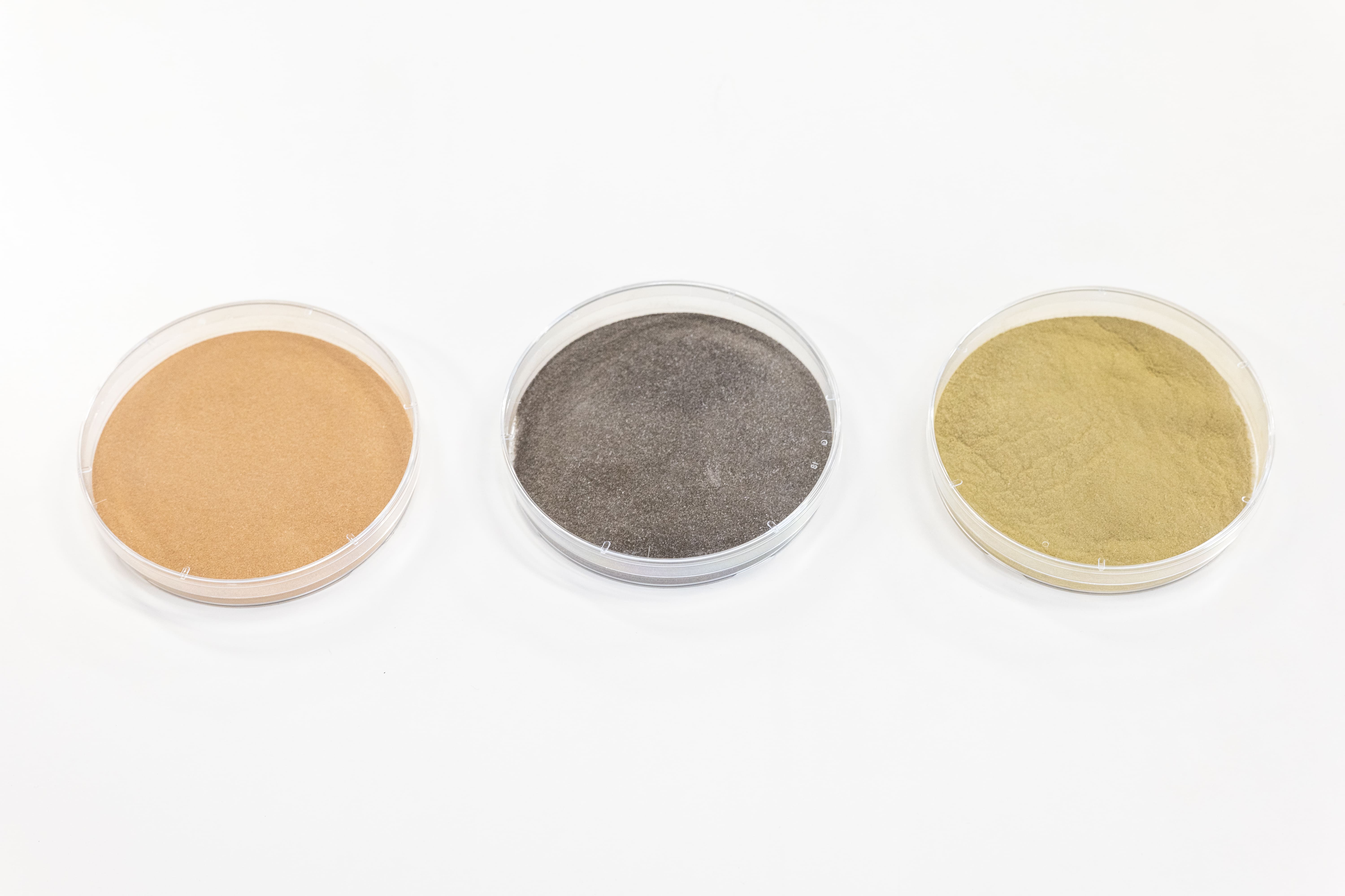 Since around the 14th century, specialized producers have collected and commercialized koji fungus spores as a product known as tane-koji (koji starter). Shown here in fine powder form, from left to right: white koji fungus, black koji fungus, and yellow koji fungus. (Photo courtesy of Bio'c Co., Ltd.)